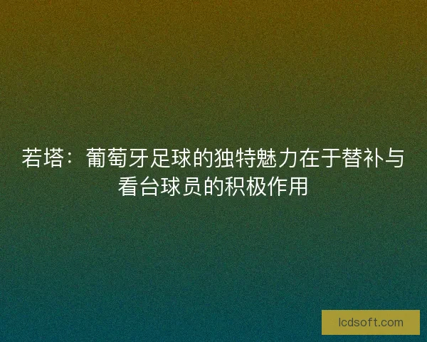若塔：葡萄牙足球的独特魅力在于替补与看台球员的积极作用