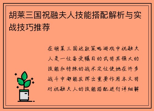 胡莱三国祝融夫人技能搭配解析与实战技巧推荐